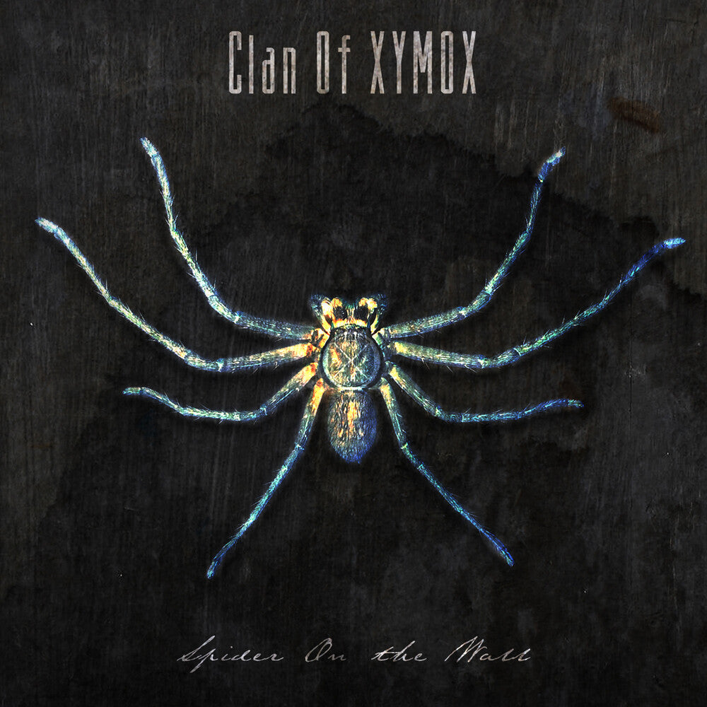Spider On The Wall [CD]