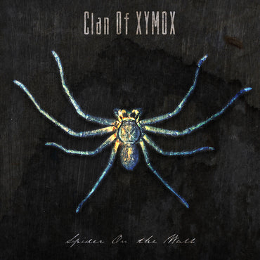 Spider On The Wall [CD]
