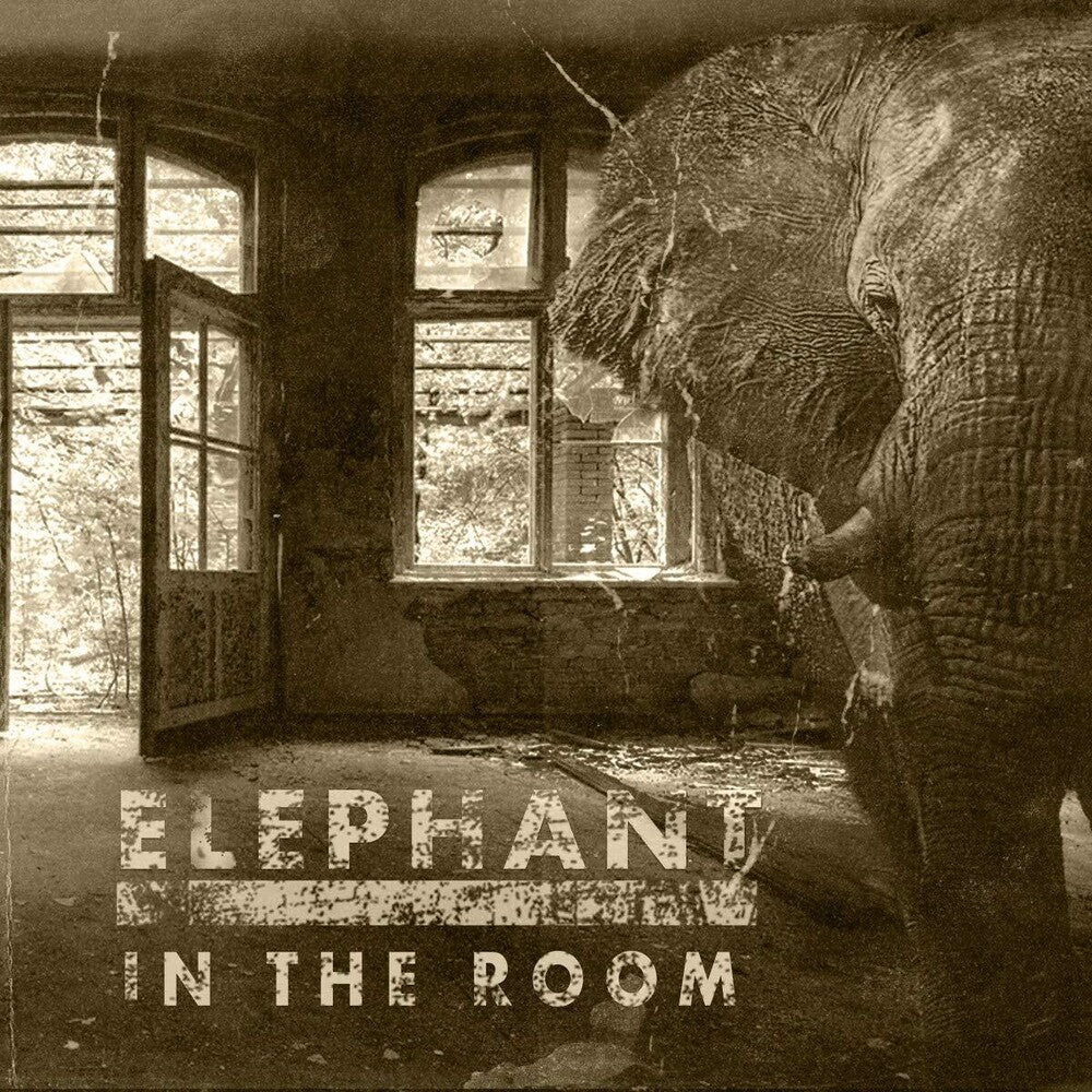 Elephant In The Room [LP]