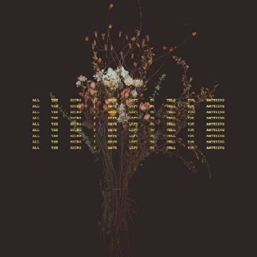 All The Hours I Have Left To Tell You Anything [LP]
