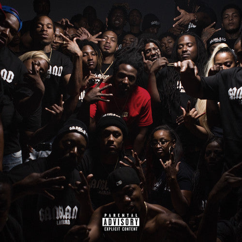 Gangland Landlord [LP]