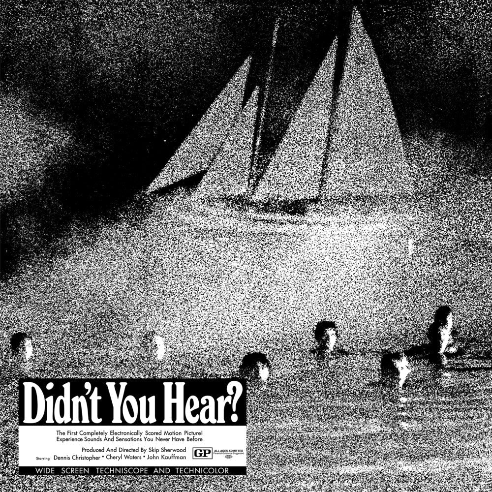 Didn't You Hear? [LP]
