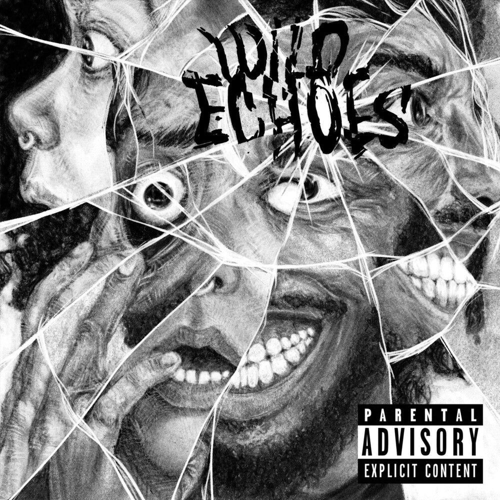 Wild Echoes [LP]