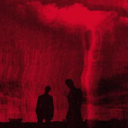 Love Hates What You Become [LP]