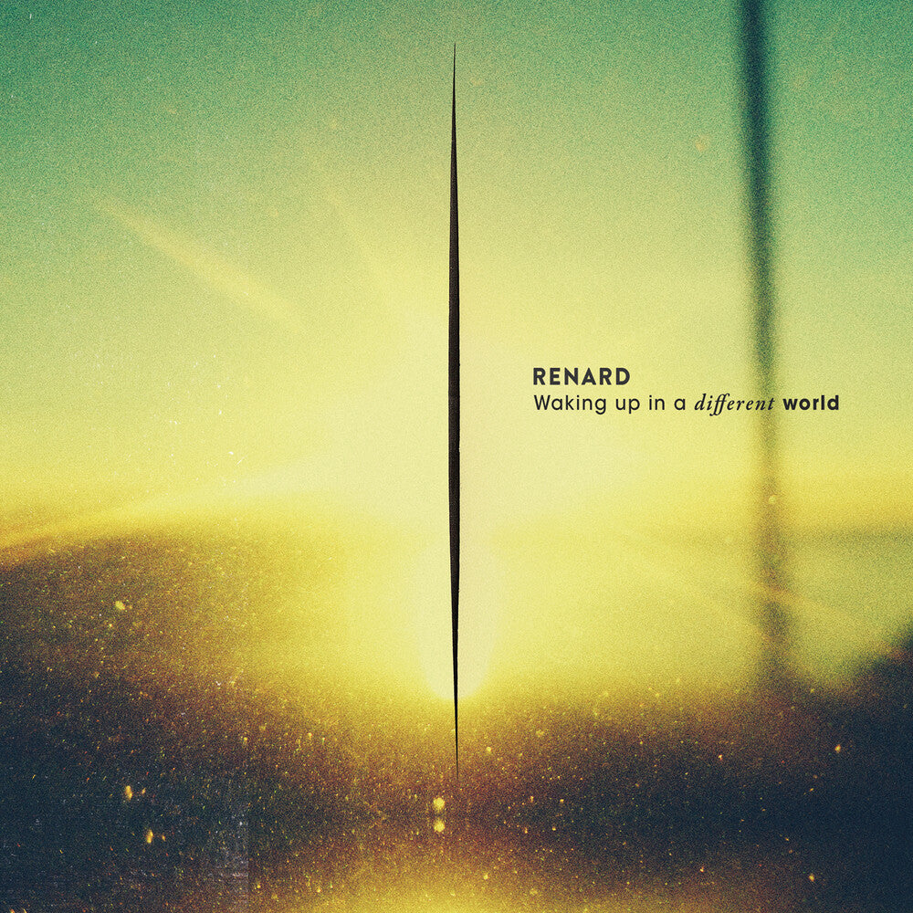 Waking Up In A Different World [LP]