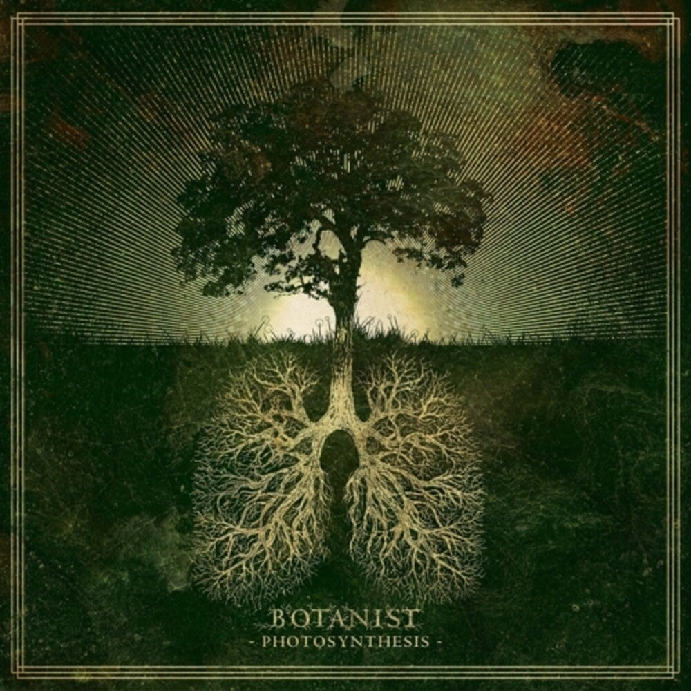 Photosynthesis [LP]