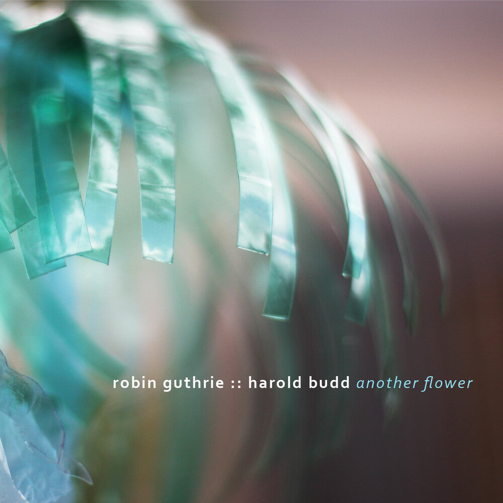 Another Flower [Digipak]