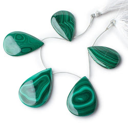 38x24-48x32mm Malachite Plain Pear Briolettes 6 inch 5 Beads (ONLINE ORDER ONLY)