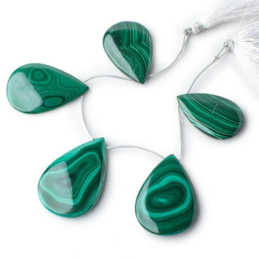 38x24-48x32mm Malachite Plain Pear Briolettes 6 inch 5 Beads (ONLINE ORDER ONLY)