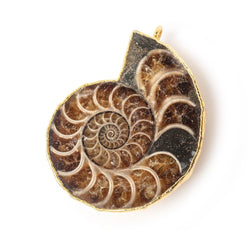 38x31mm Gold Leafed Ammonite Fossil Pendant 1 focal piece (ONLINE ORDER ONLY)