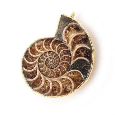38x31mm Gold Leafed Ammonite Fossil Pendant 1 focal piece (ONLINE ORDER ONLY)