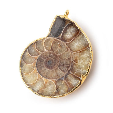 38x32mm Gold Leafed Ammonite Fossil Pendant 1 piece (ONLINE ORDER ONLY)