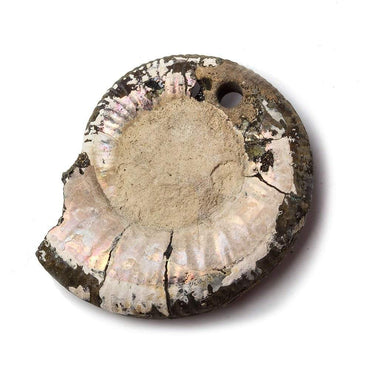 38x32mm Pyritized Ammonite  Fossil Focal Bead (ONLINE ORDER ONLY)