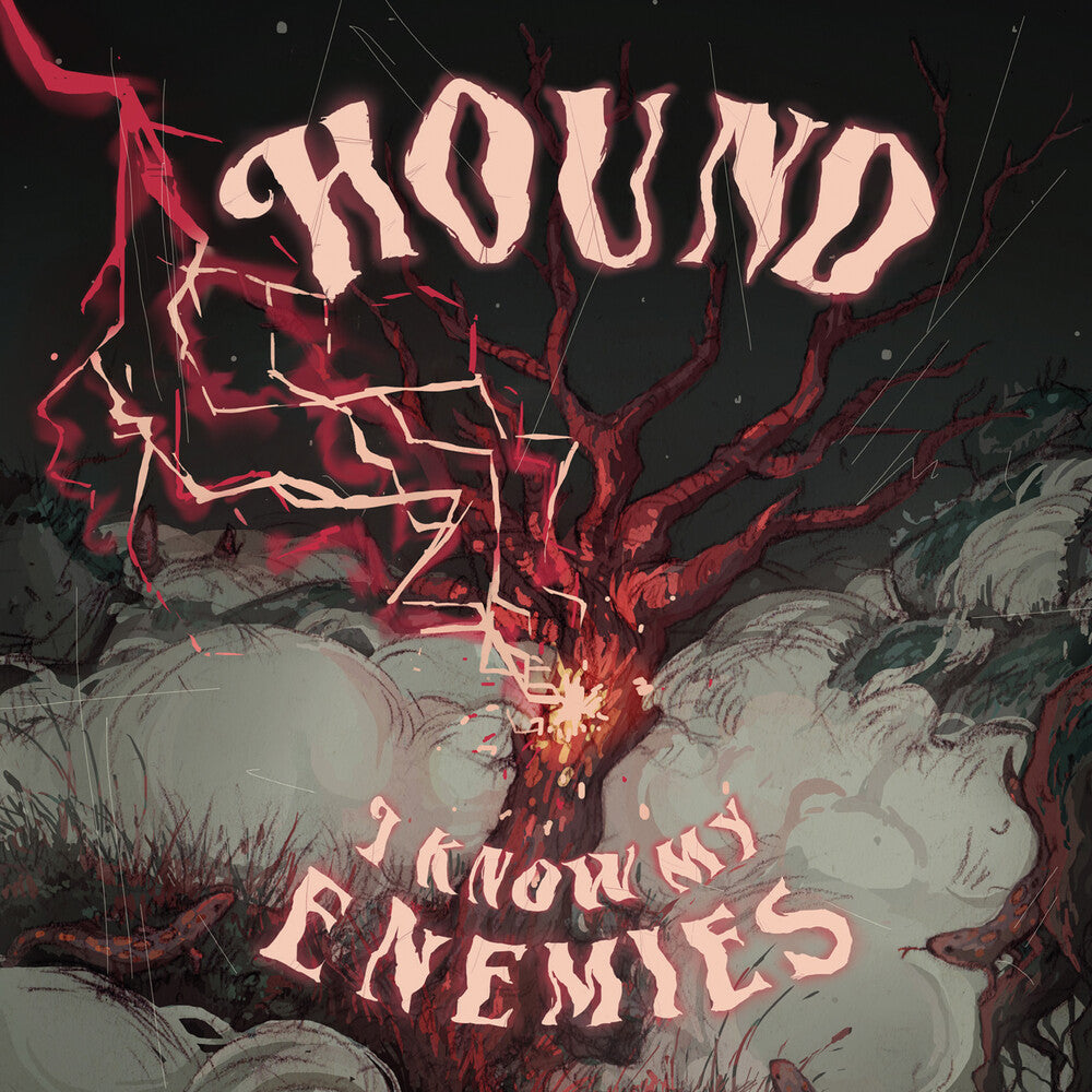 I Know My Enemies [LP]