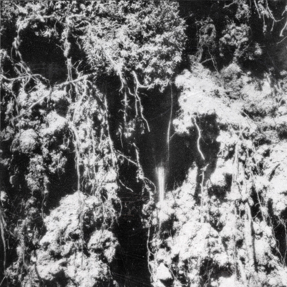 Den Sorte Dod [LP]