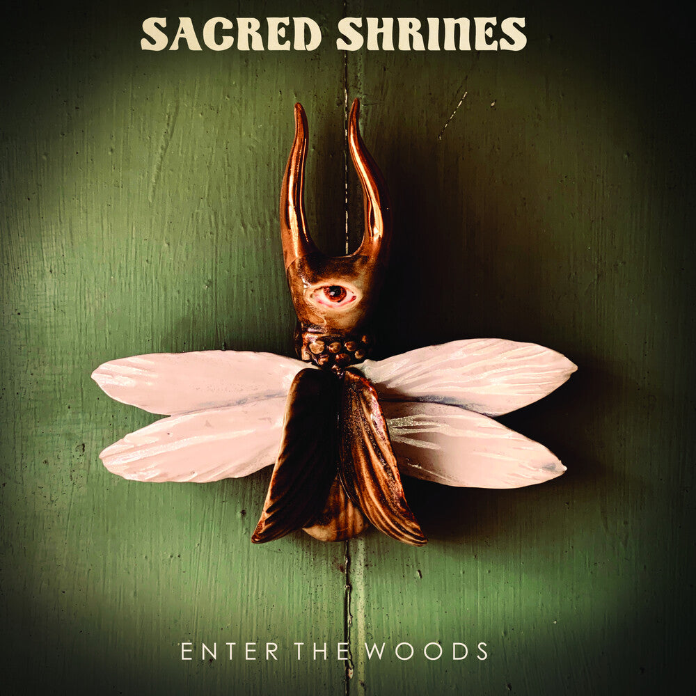 Enter The Woods [LP]