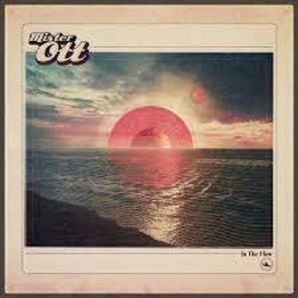 In The Flow [LP]