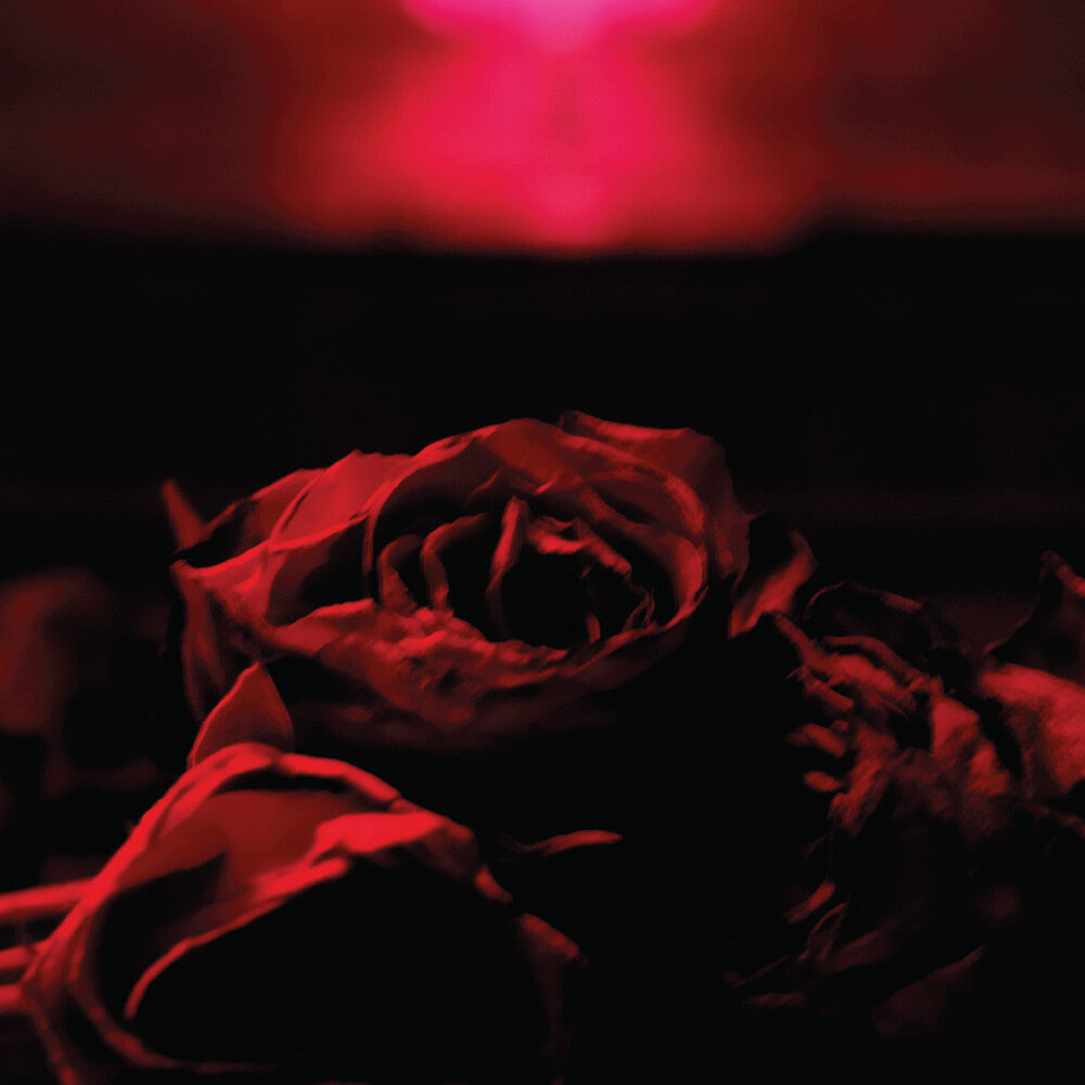 Roses (Mod) [CD]