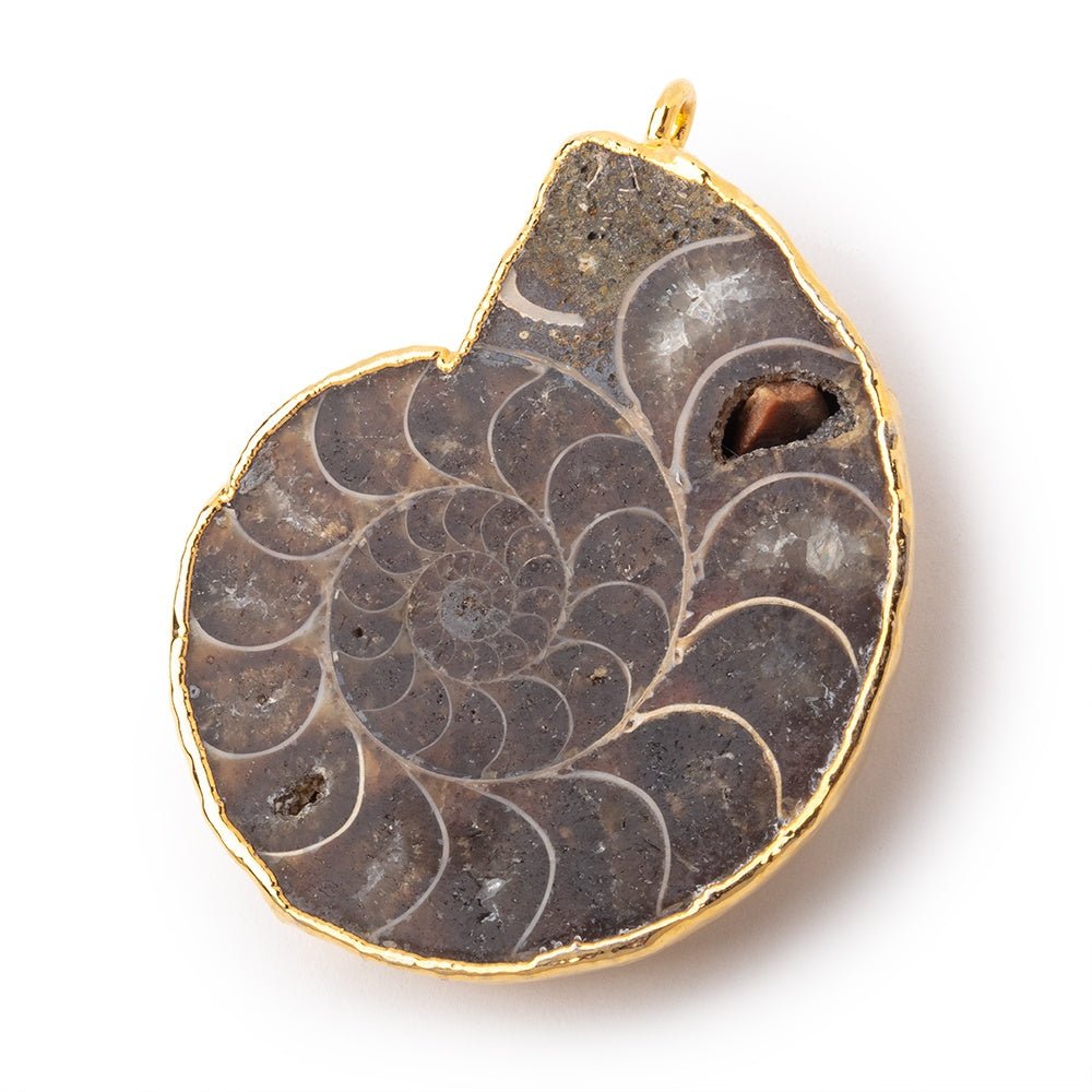 39.5x33mm Gold Leafed Ammonite Fossil Pendant 1 focal piece (ONLINE ORDER ONLY)