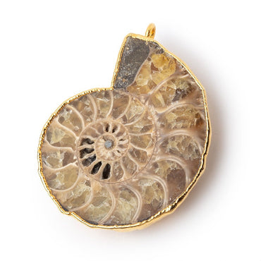39.5x33mm Gold Leafed Ammonite Fossil Pendant 1 piece (ONLINE ORDER ONLY)