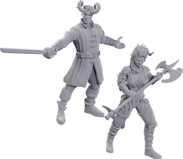 D&D: Nolzur's Marvelous Miniatures - Special Edition Baldur's Gate 3 - Wyll & Karlach (ONLINE ORDER ONLY)