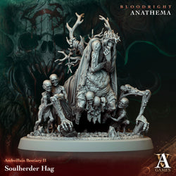 3D Printed Archvillain Games Soulherder Hag Archvillain Bestiary Vol. II 28 32mm D&D (Online Only)