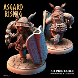 3D Printed Asgard Rising Dwarf Full Plate Shield and Banner Set 28mm - 32mm (Online Only)