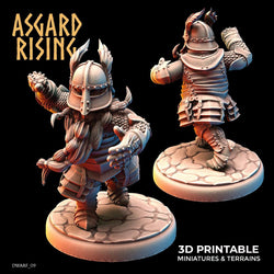 3D Printed Asgard Rising Dwarf Full Plate Warrior Warband Set 28mm - 32mm (Online Only)