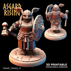 3D Printed Asgard Rising Dwarven Shield-Maidens Set 28mm - 32mm (Online Only)