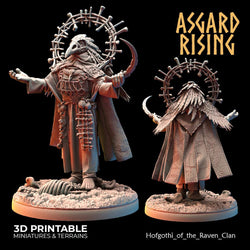 3D Printed Asgard Rising Hofgothi and Priestesses of the Raven Clan - 28 32mm Wargaming DnD (Online Only)