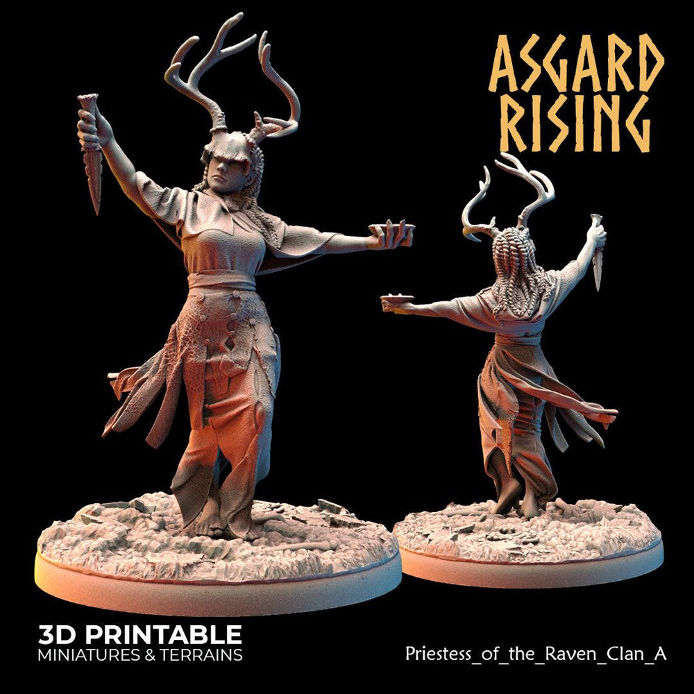 3D Printed Asgard Rising Hofgothi and Priestesses of the Raven Clan - 28 32mm Wargaming DnD (Online Only)