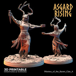 3D Printed Asgard Rising Hofgothi and Priestesses of the Raven Clan - 28 32mm Wargaming DnD (Online Only)
