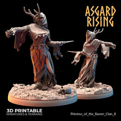 3D Printed Asgard Rising Hofgothi and Priestesses of the Raven Clan - 28 32mm Wargaming DnD (Online Only)