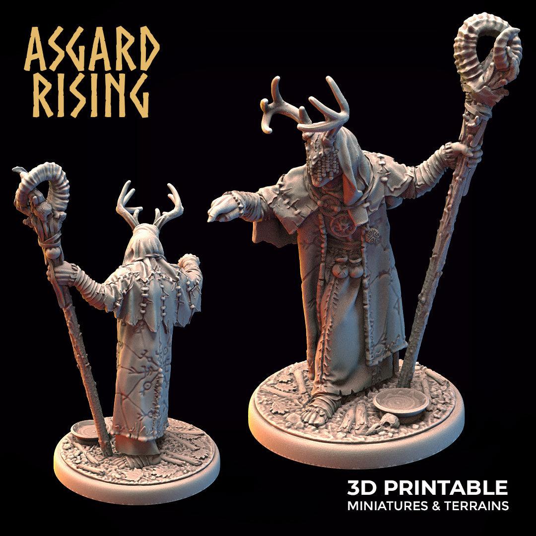3D Printed Asgard Rising Hofgothi Shaman Seer Wizard | 32mm D&D (Online Only)