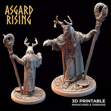 3D Printed Asgard Rising Hofgothi Shaman Seer Wizard | 32mm D&D (Online Only)
