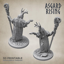 3D Printed Asgard Rising Hofgothi Shaman Seer Wizard | 32mm D&D (Online Only)