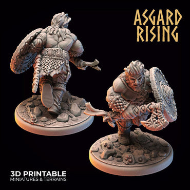 3D Printed Asgard Rising Midgard Viking Shieldman Set 28 32 mm Wargaming DnD (Online Only)