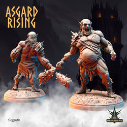 3D Printed Asgard Rising Siegruth 28 32 mm Wargaming DnD (Online Only)