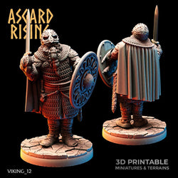 3D Printed Asgard Rising Viking Huscarls 28mm - 32mm (Online Only)