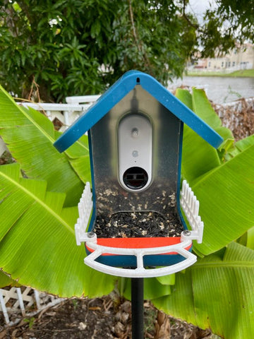 3D Printed Bird Buddy Perch & Picket Fence Modifications (Online Only)