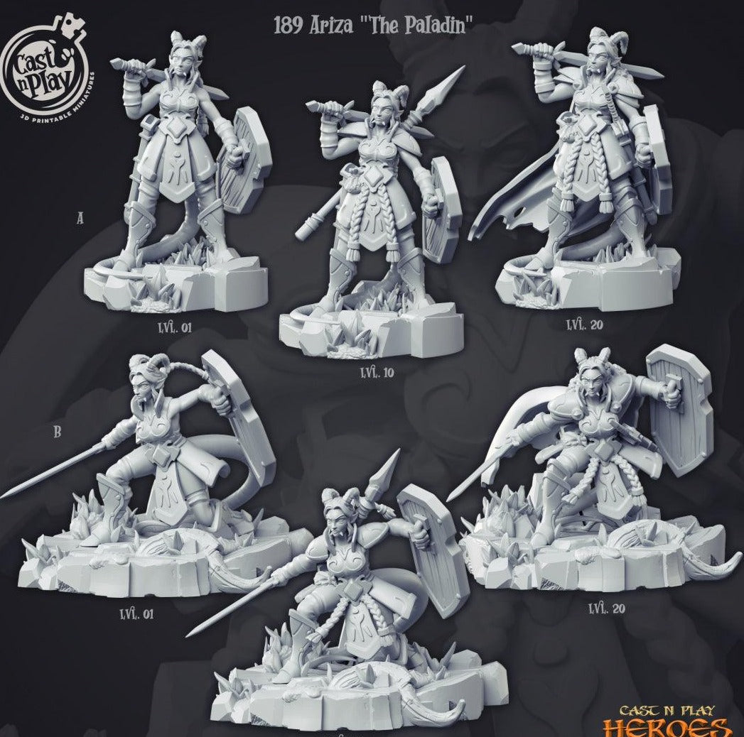 3D Printed Cast n Play Ariza the Paladin Heroes Vol. 1 28mm 32mm D&D (Online Only)