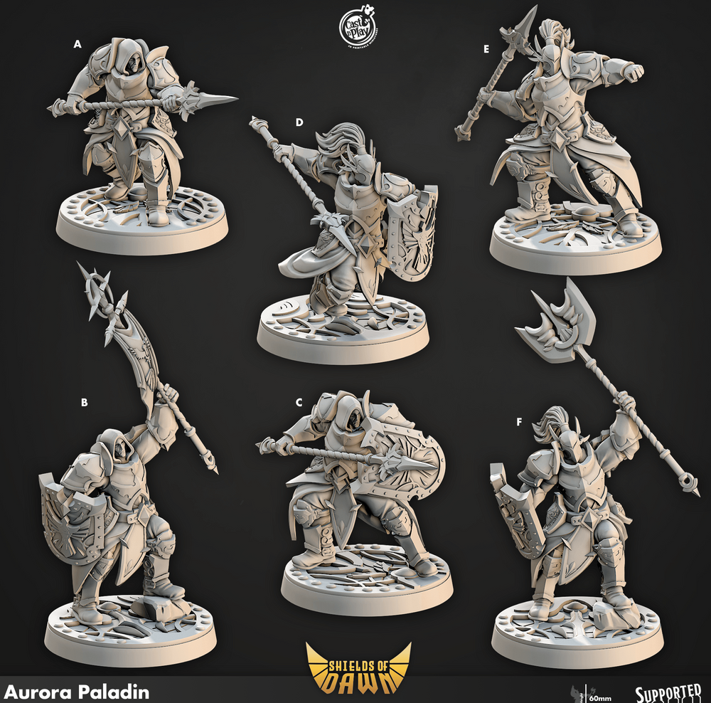 3D Printed Cast n Play Aurora Paladin Shields of Dawn 28mm 32mm D&D (Online Only)