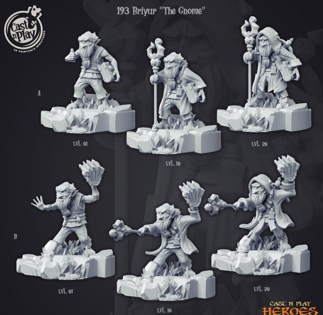 3D Printed Cast n Play Briyur the Gnome Heroes Vol. 1 28mm 32mm D&D (Online Only)
