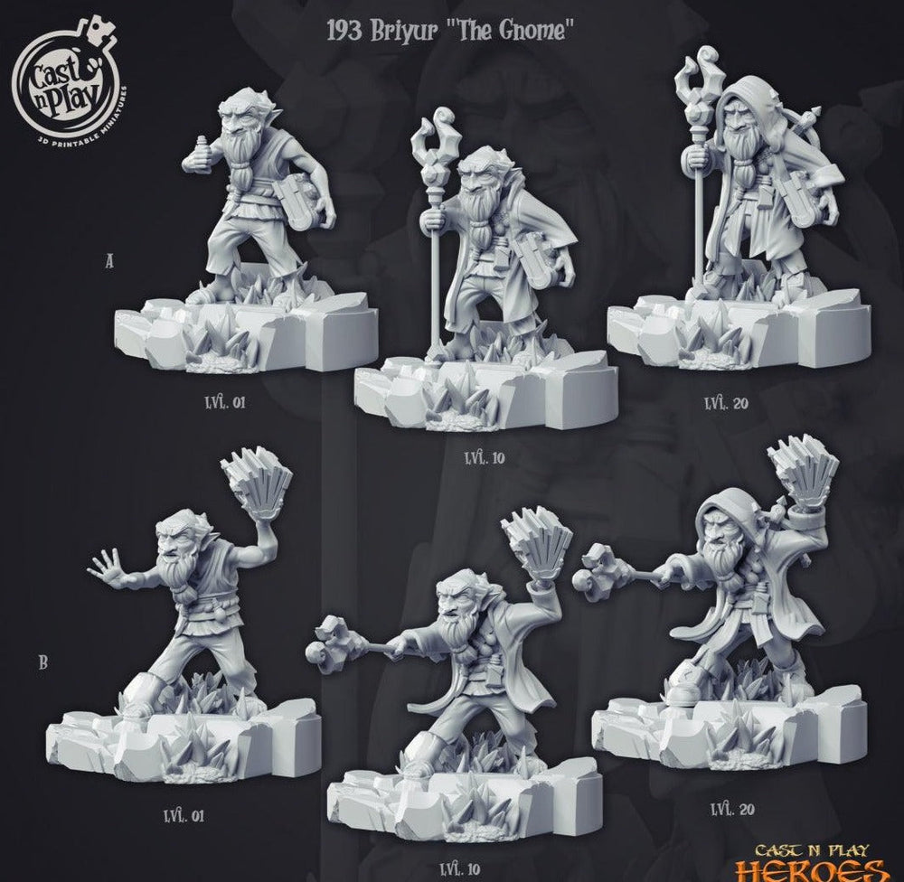 3D Printed Cast n Play Briyur the Gnome Heroes Vol. 1 28mm 32mm D&D (Online Only)