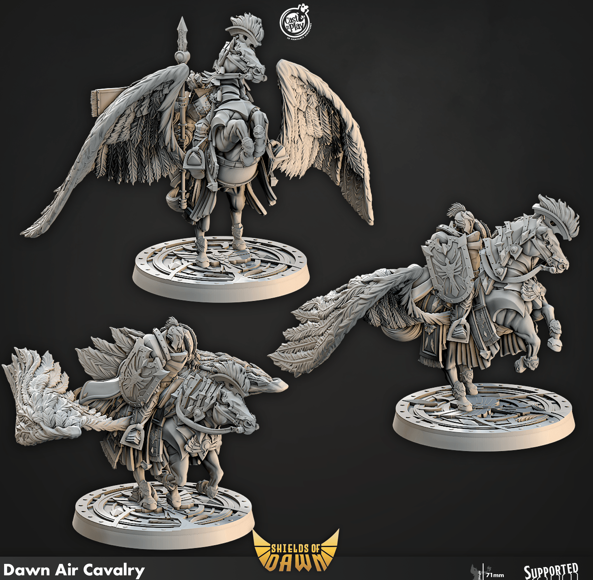 3D Printed Cast n Play Dawn Air Cavalry Shields of Dawn 28mm 32mm D&D (Online Only)