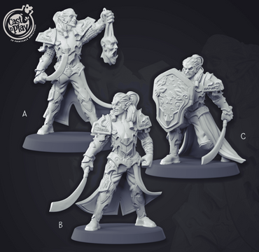 3D Printed Cast n Play Elvish Warrior Champion Set 28mm 32mm D&D (Online Only)