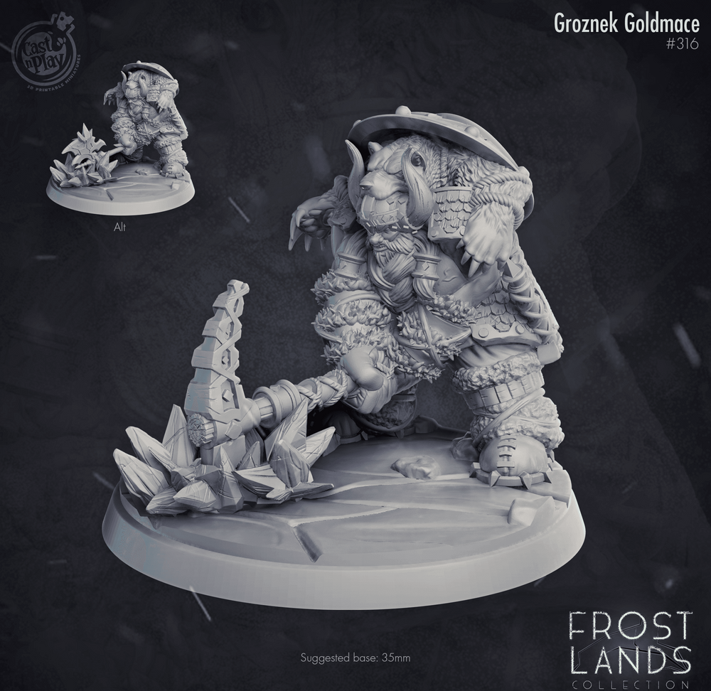 3D Printed Cast n Play Groznek Goldmace Frost Lands 28mm 32mm (Online Only)