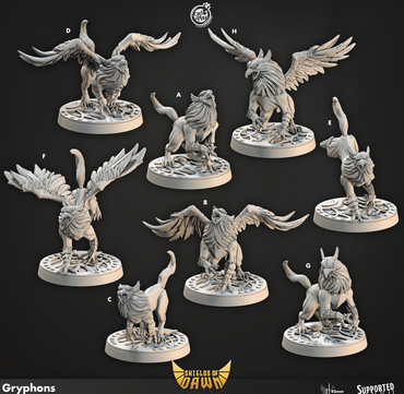3D Printed Cast n Play Gryphons Shields of Dawn 28mm 32mm D&D (Online Only)