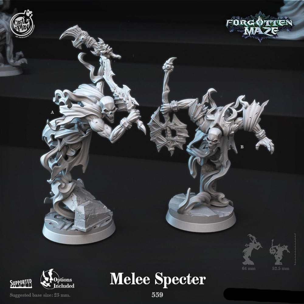 3D Printed Cast n Play Melee Specter Forgotten Maze 28mm 32mm D&D (Online Only)