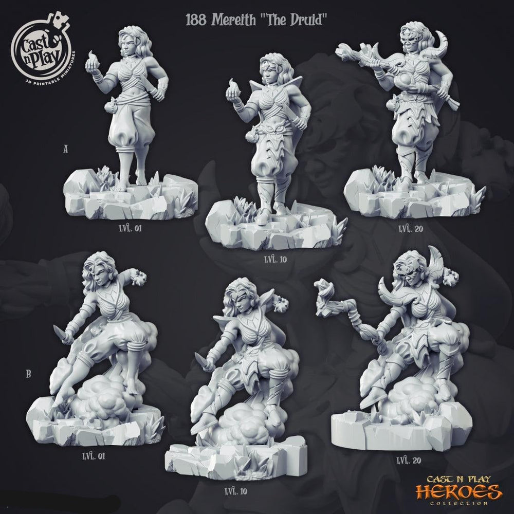 3D Printed Cast n Play Mereith the Druid Heroes Vol. 1 28mm 32mm D&D (Online Only)